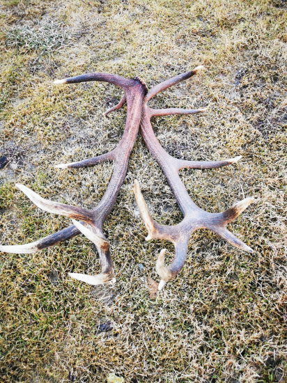 Rok si na mňa počkal - ľavá strana