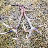 Rok si na mňa počkal - ľavá strana