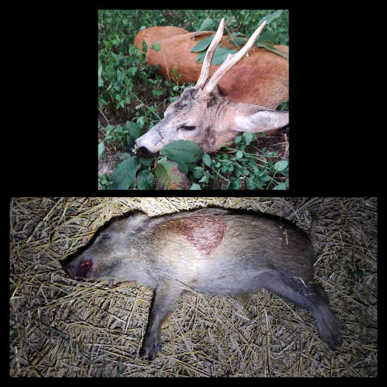 Železo se má kout, dokud je žhavé.