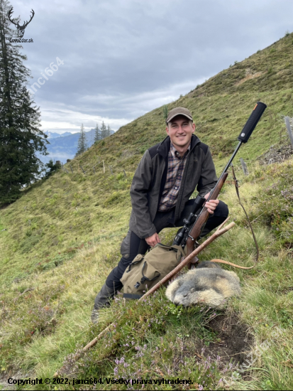 Svišť vrchovský (marmota marmota) - Rakúsko