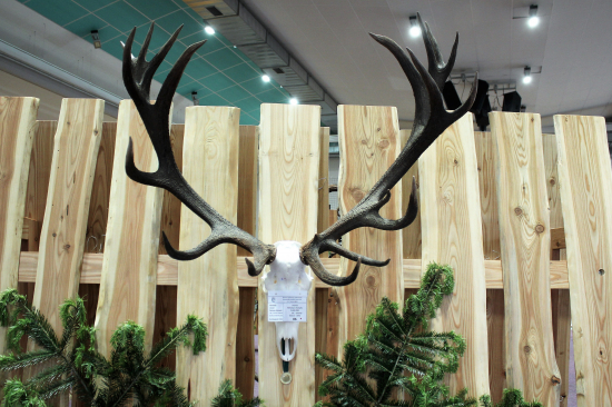 Nejsilnější trofej výstavy