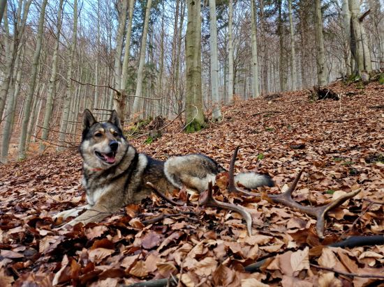 Spoločne na spoločnej...