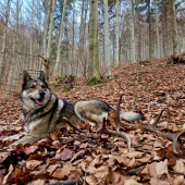 Spoločne na spoločnej...