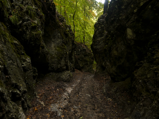 Korbeľka