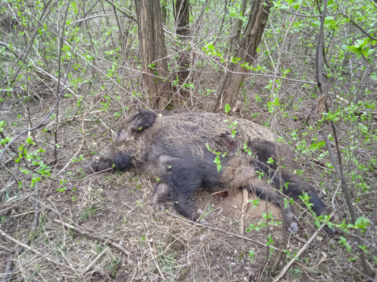 Číslo 3 v tomto roku má starší pán.