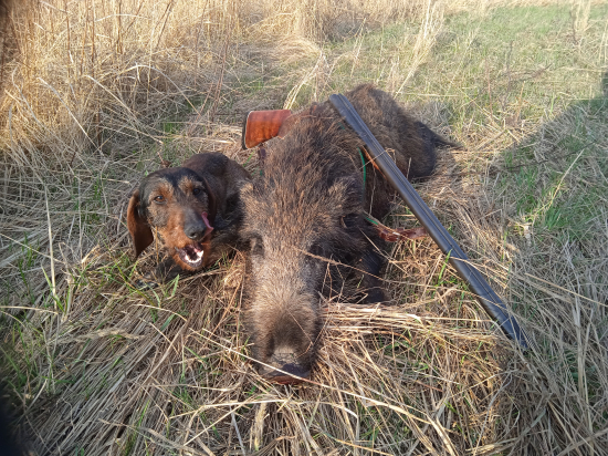 Štvrteho v tomto roku má na svedomí zase Broček.