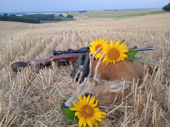 Dnešné ráno na parádu.