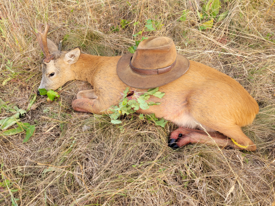 Už ma nebude cvičiť.