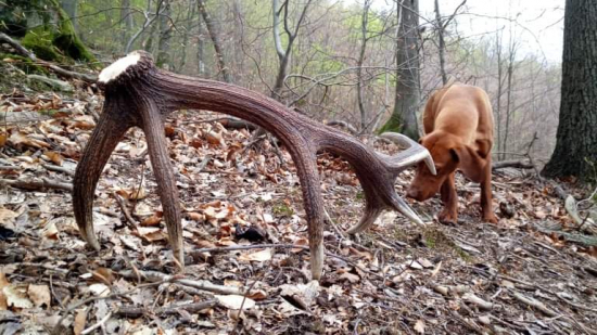 Veľkonočná nedeľa...