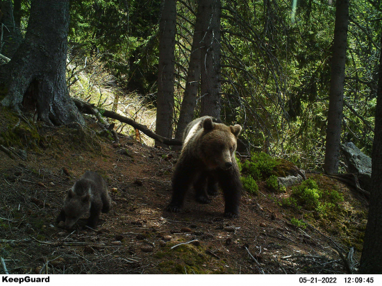 Mamina z najhlbších hôr.