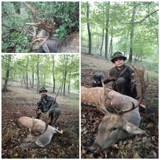 První daněk je jen jeden...