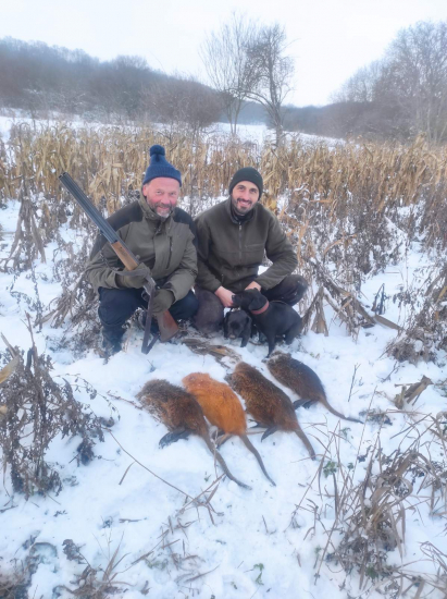 Takové netradiční norování