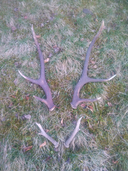 Konečne sa zadarilo