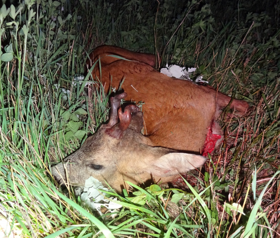 Keď sa šťastie unaví