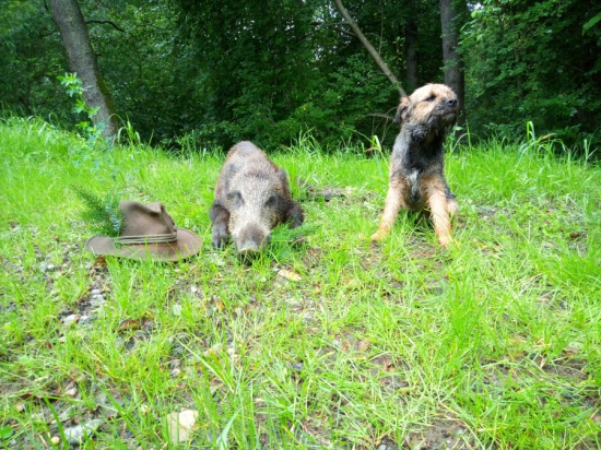 První v letošním roce