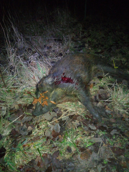 Poslední v kalendářním roce 2022