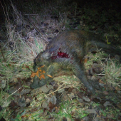 Poslední v kalendářním roce 2022