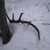 Sezona 2022 zahajena.