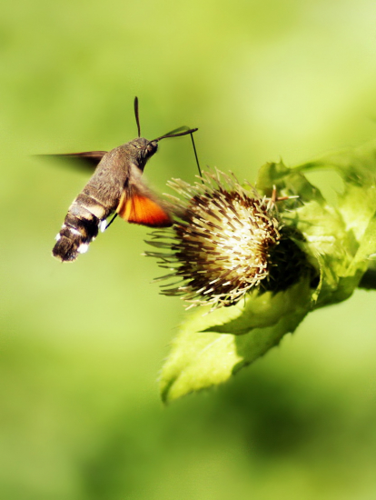 chvíľa pristavenia