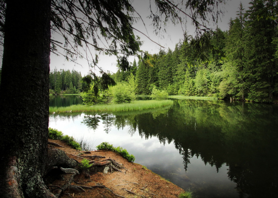 vrbické pleso