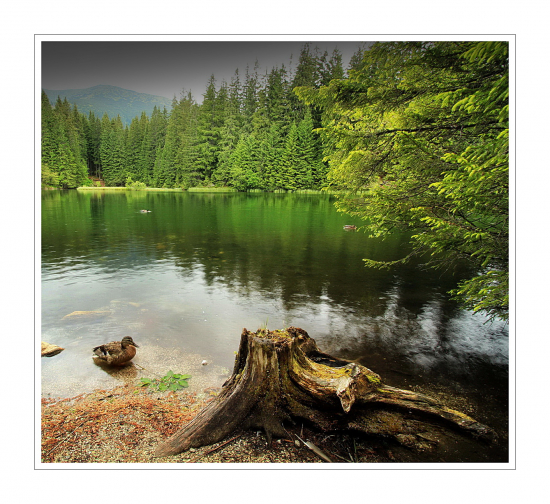 vrbické pleso
