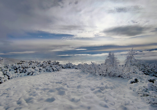 Tatry