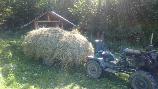 Keď sa zima opýta, čo si robil v lete...