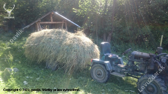 Keď sa zima opýta, čo si robil v lete...