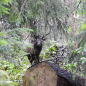 Stretnutie na chodníku