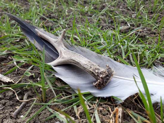 čerstvý počas ťahu žeriavov