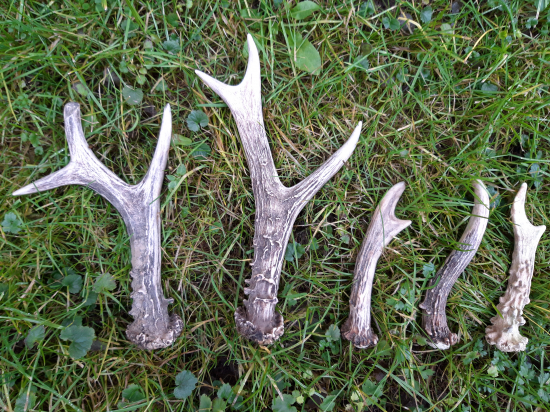 predvianočný zázrak