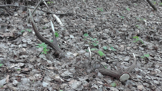 Dnešný do páru ku včerajšiemu.