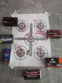 22lr test