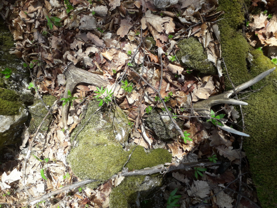 Minulorocny 10 torak