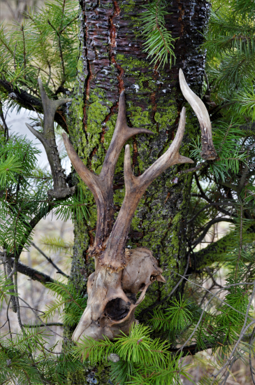 Poslední den v roce 2021.