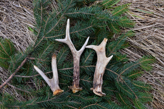 Letos třetí hattrick.