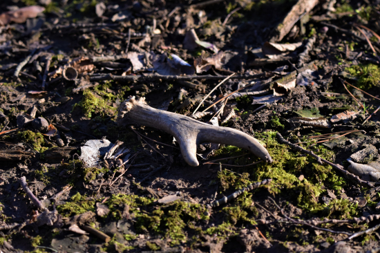 Opět jeden čerstvý.