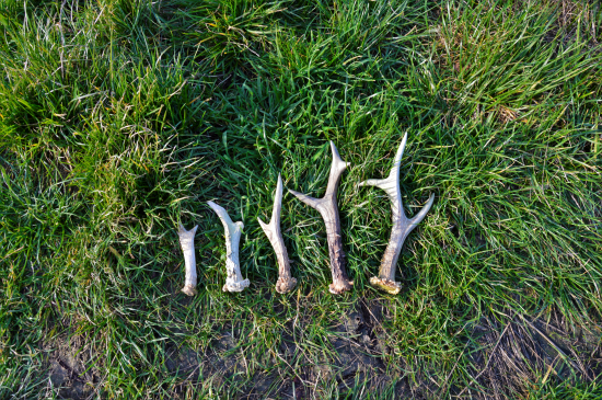 Sobota jak se patří.