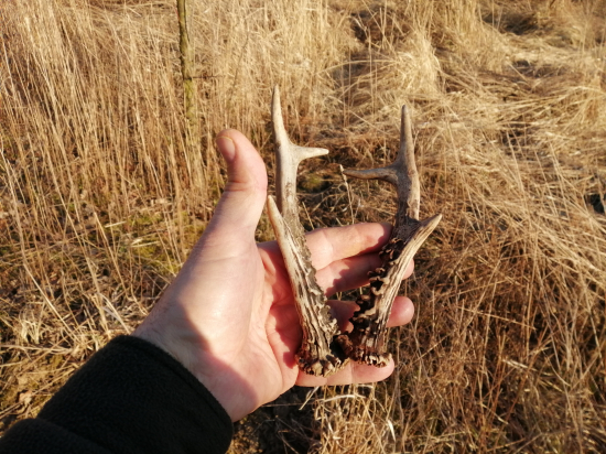 Třetí měsíc, třetí pár.