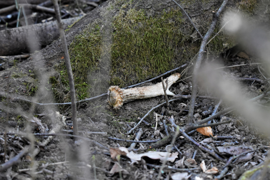 Shledání po 6 letech.