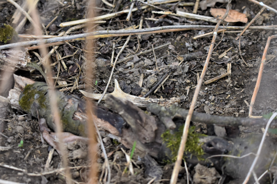 Štěstí se mě drží.