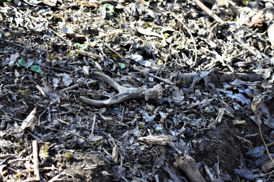 Slušně založený.