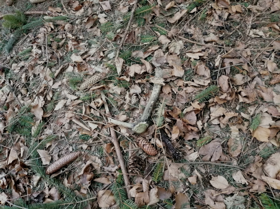 Po osmi hodinové tůře cena útěchy.