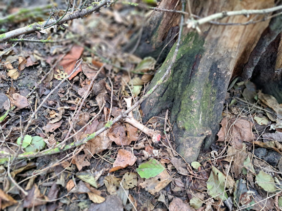 Ještě byl teplý:-)