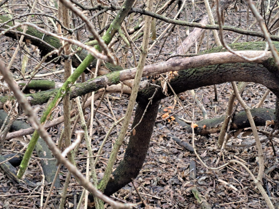 První pohled bývá nej...