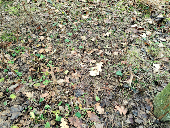 15 kiláků nic a pak tohle.