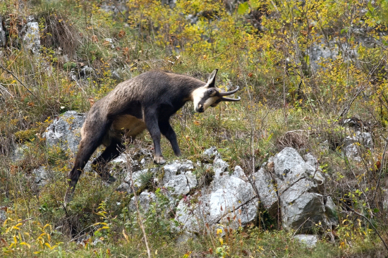 Označovanie rajónu