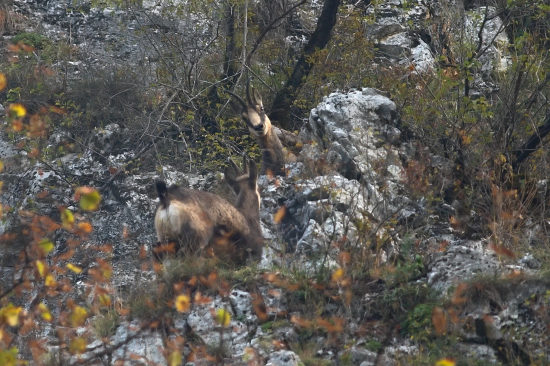 Hra na schovávačku