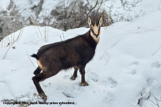 Sneh mi nevadí