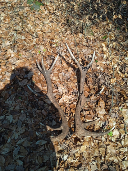 Sezóna 2022 zatiaľ naj úlovok